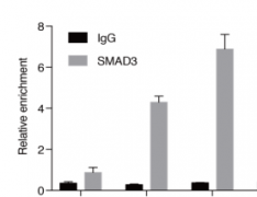 CHIP及ChIP-seq實驗服務