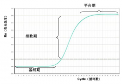 實時熒光定量PCR